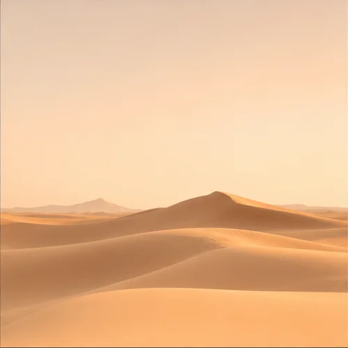 Minimalist — MiraFolio